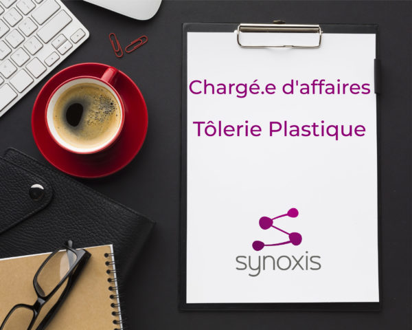 offre d'emplois synoxis